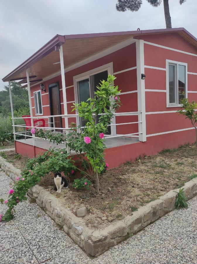 Kanyon Yasam Evleri Vila Manavgat Exterior foto
